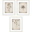 Paragon Wildflower Stems I S/3 Brown 23 X 19 X 1 Wall Art