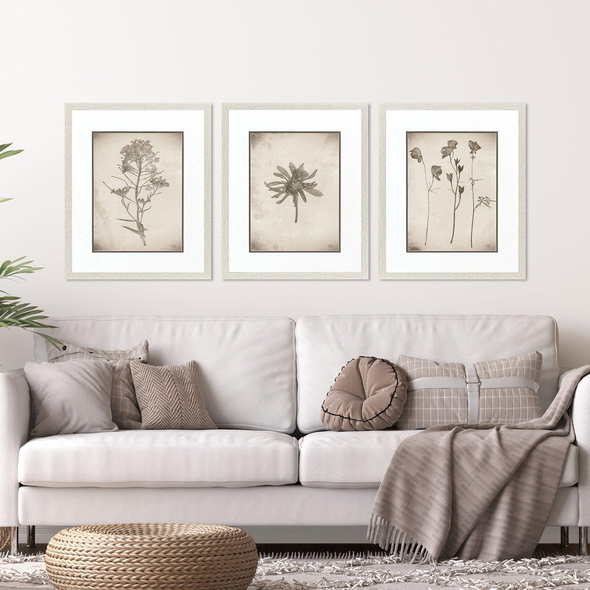 Paragon Wildflower Stems I S/3 Brown 23 X 19 X 1 Wall Art