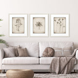 Paragon Wildflower Stems I S/3 Brown 23 X 19 X 1 Wall Art