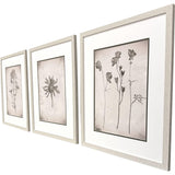 Paragon Wildflower Stems I S/3 Brown 23 X 19 X 1 Wall Art