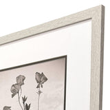 Paragon Wildflower Stems I S/3 Brown 23 X 19 X 1 Wall Art
