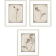 Paragon Wildflower Stems II S/3 Brown 23 X 19 X 1 Wall Art