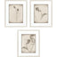 Paragon Wildflower Stems II S/3 Brown 23 X 19 X 1 Wall Art