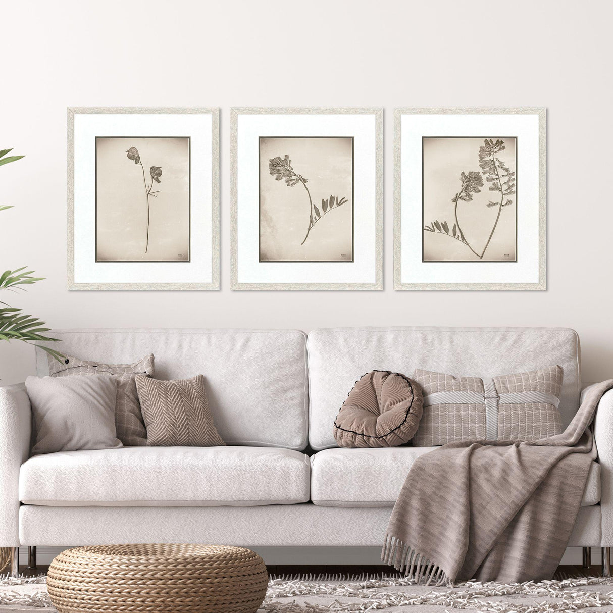 Paragon Wildflower Stems II S/3 Brown 23 X 19 X 1 Wall Art