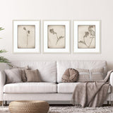 Paragon Wildflower Stems II S/3 Brown 23 X 19 X 1 Wall Art