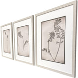 Paragon Wildflower Stems II S/3 Brown 23 X 19 X 1 Wall Art