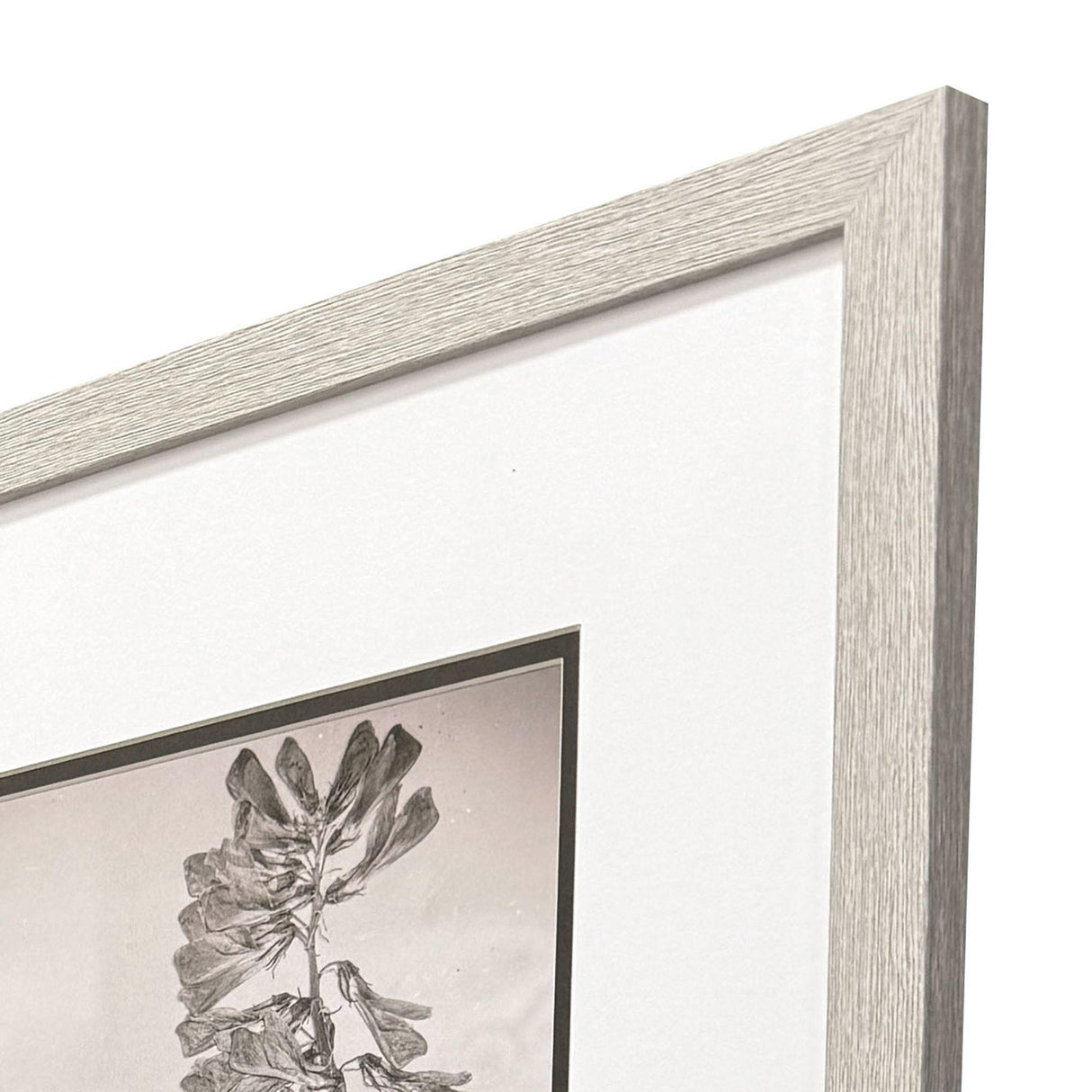 Paragon Wildflower Stems II S/3 Brown 23 X 19 X 1 Wall Art