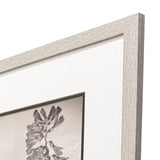 Paragon Wildflower Stems II S/3 Brown 23 X 19 X 1 Wall Art