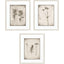 Paragon Wildflower Stems III S/3 Brown 23 X 19 X 1 Wall Art