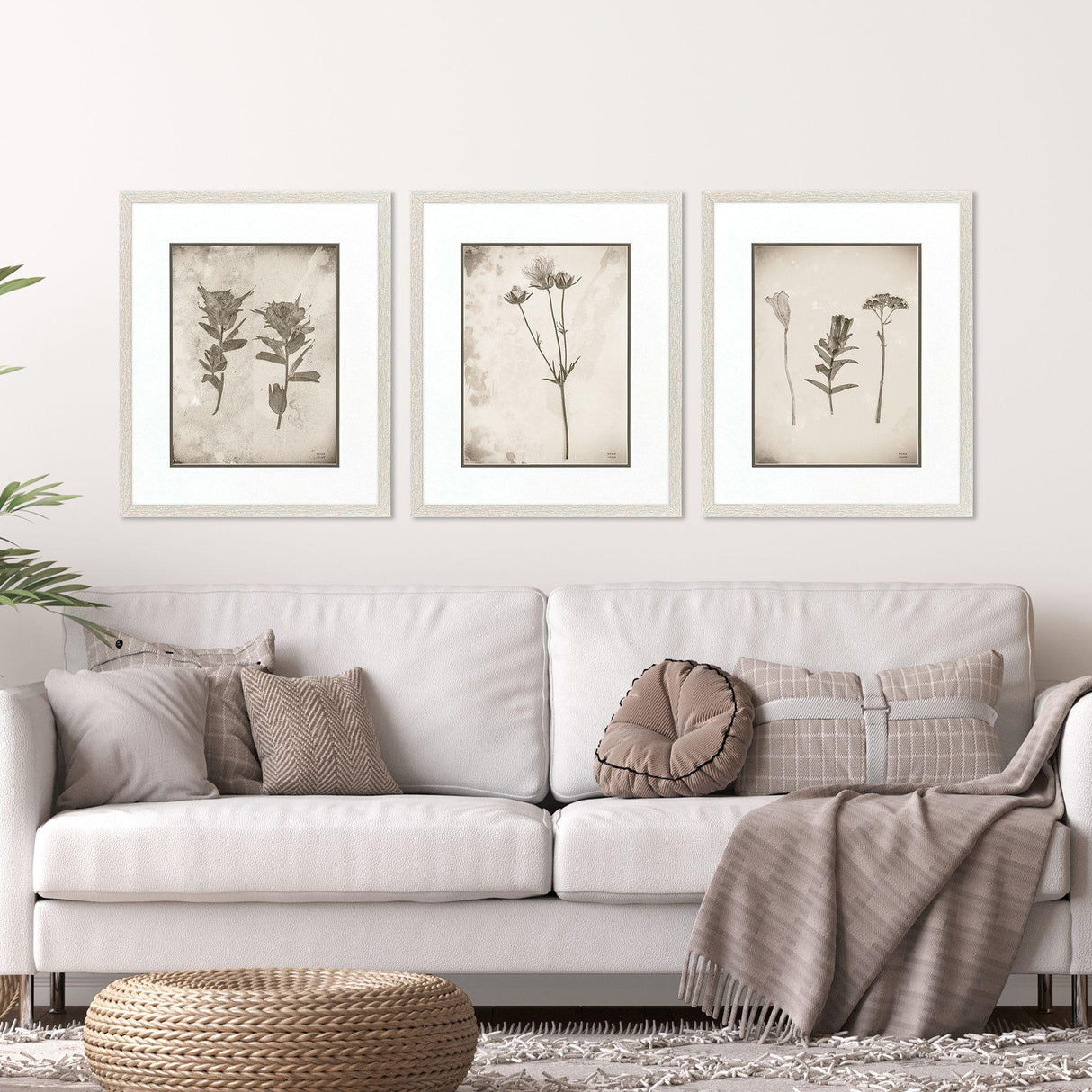 Paragon Wildflower Stems III S/3 Brown 23 X 19 X 1 Wall Art