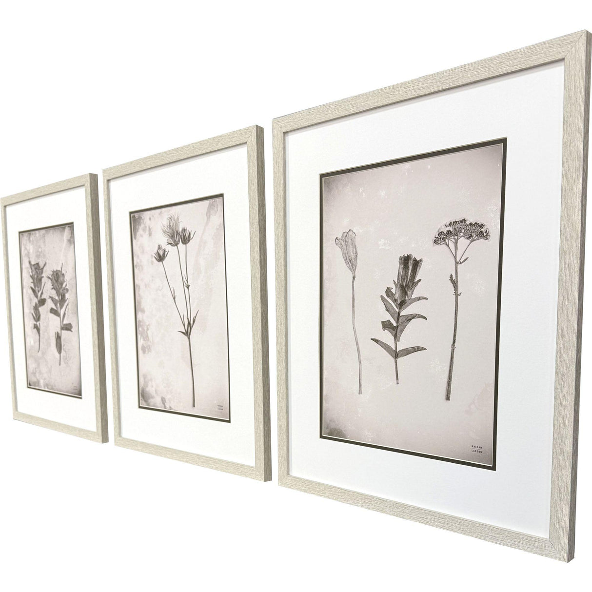 Paragon Wildflower Stems III S/3 Brown 23 X 19 X 1 Wall Art