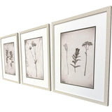 Paragon Wildflower Stems III S/3 Brown 23 X 19 X 1 Wall Art