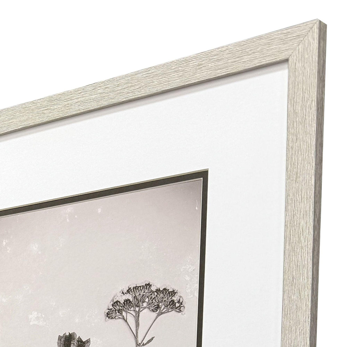 Paragon Wildflower Stems III S/3 Brown 23 X 19 X 1 Wall Art