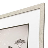 Paragon Wildflower Stems III S/3 Brown 23 X 19 X 1 Wall Art