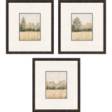 Paragon Watercolor Woods I S/3 Brown 19 X 17 X 1 Wall Art