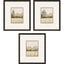 Paragon Watercolor Woods I S/3 Brown 19 X 17 X 1 Wall Art