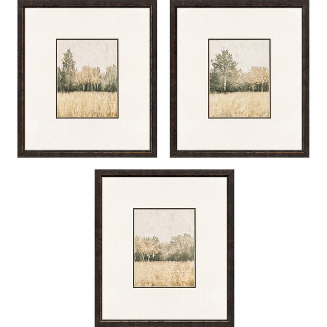 Paragon Watercolor Woods I S/3 Brown 19 X 17 X 1 Wall Art