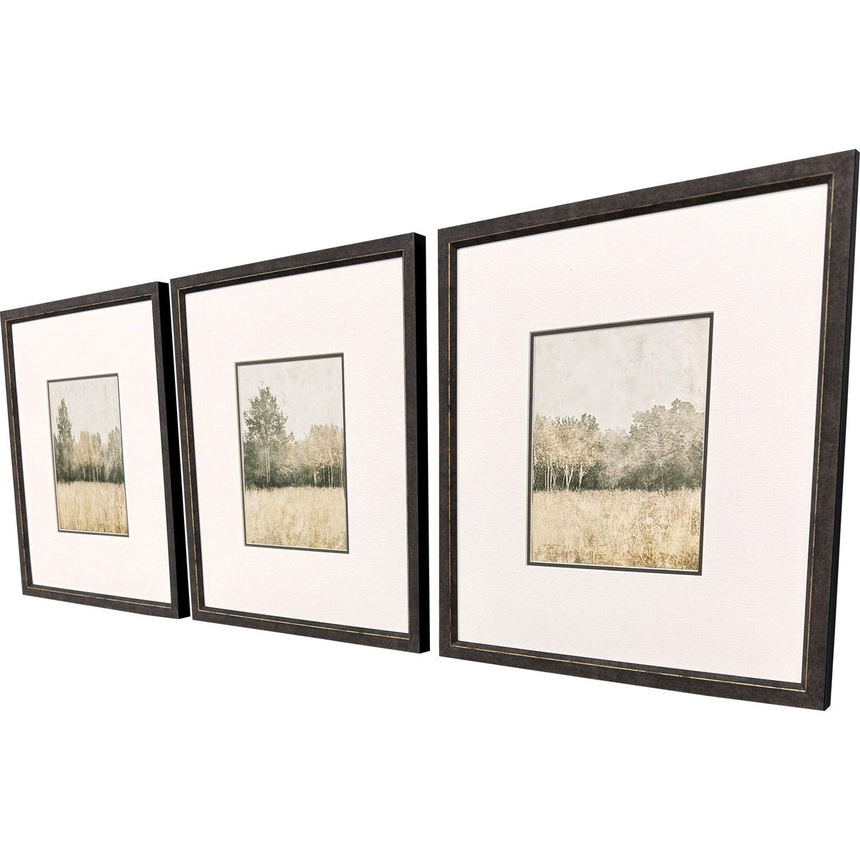 Paragon Watercolor Woods I S/3 Brown 19 X 17 X 1 Wall Art