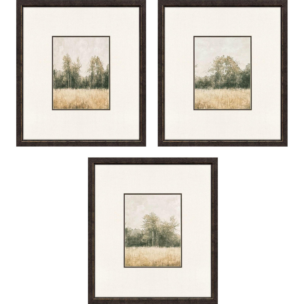 Paragon Watercolor Woods II S/3 Brown 19 X 17 X 1 Wall Art