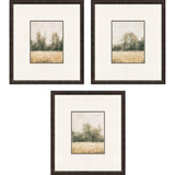 Paragon Watercolor Woods II S/3 Brown 19 X 17 X 1 Wall Art