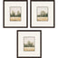 Paragon Watercolor Woods II S/3 Brown 19 X 17 X 1 Wall Art