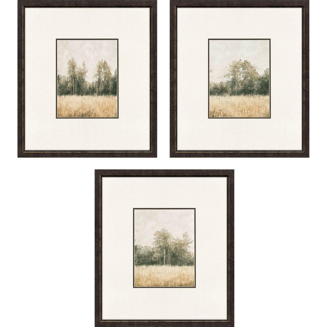 Paragon Watercolor Woods II S/3 Brown 19 X 17 X 1 Wall Art