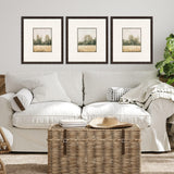 Paragon Watercolor Woods II S/3 Brown 19 X 17 X 1 Wall Art