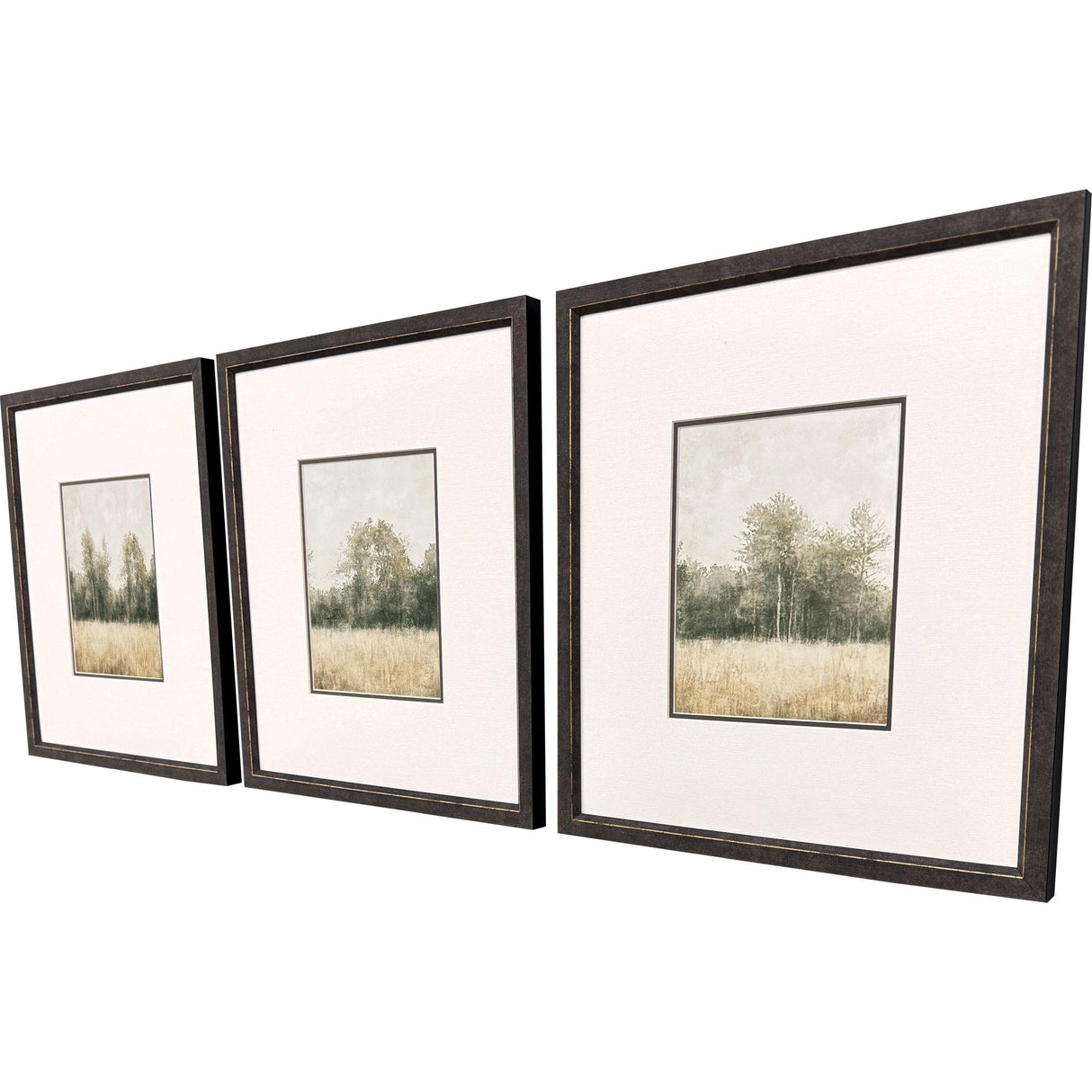 Paragon Watercolor Woods II S/3 Brown 19 X 17 X 1 Wall Art