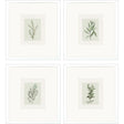 Paragon Spices S/4 Green 19 X 17 X 2 Wall Art