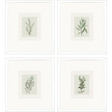 Paragon Spices S/4 Green 19 X 17 X 2 Wall Art