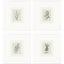 Paragon Spices S/4 Green 19 X 17 X 2 Wall Art