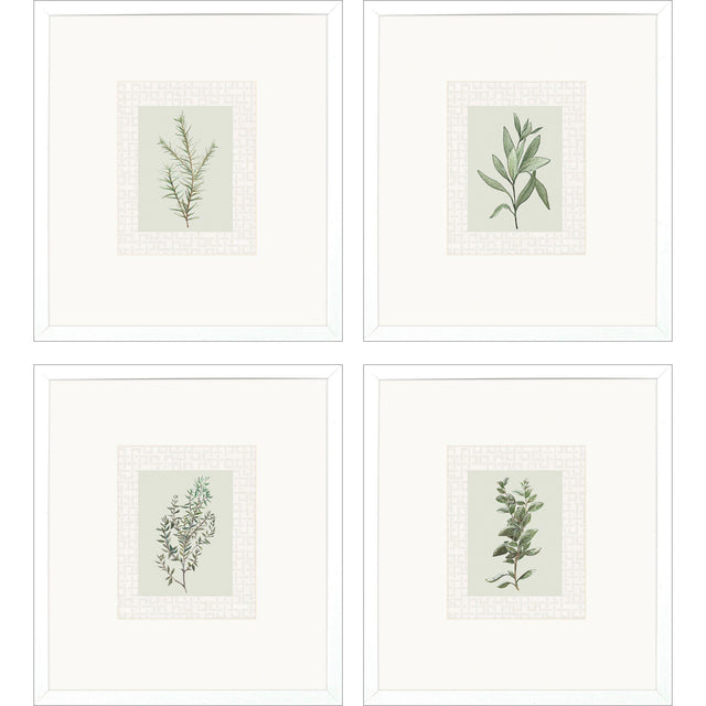 Paragon Spices S/4 Green 19 X 17 X 2 Wall Art