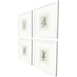 Paragon Spices S/4 Green 19 X 17 X 2 Wall Art