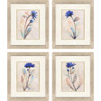 Paragon Blue Folk Garden S/4 Blue 23 X 20 X 1 Wall Art