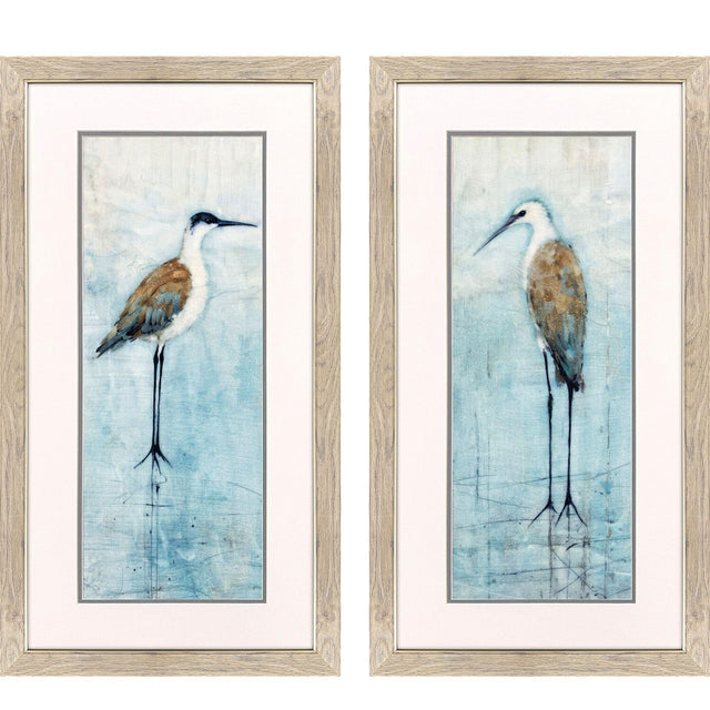 Paragon Seabirds Panel S/2 Blue 35 X 19 X 1 Wall Art