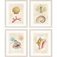 Paragon Coastal Wonder S/4 Multi 21 X 17 X 1 Wall Art