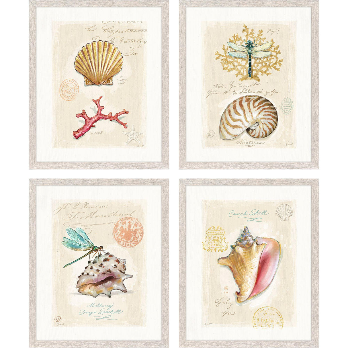Paragon Coastal Wonder S/4 Multi 21 X 17 X 1 Wall Art