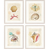 Paragon Coastal Wonder S/4 Multi 21 X 17 X 1 Wall Art