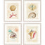 Paragon Coastal Wonder S/4 Multi 21 X 17 X 1 Wall Art