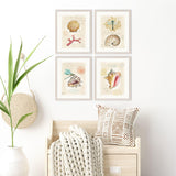 Paragon Coastal Wonder S/4 Multi 21 X 17 X 1 Wall Art