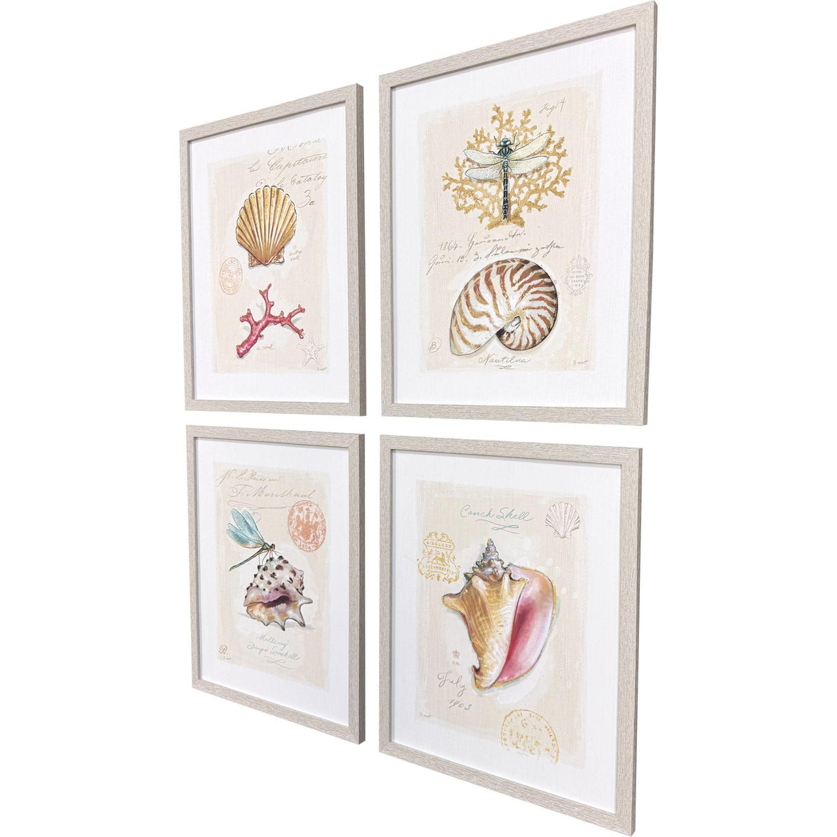 Paragon Coastal Wonder S/4 Multi 21 X 17 X 1 Wall Art