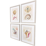 Paragon Coastal Wonder S/4 Multi 21 X 17 X 1 Wall Art