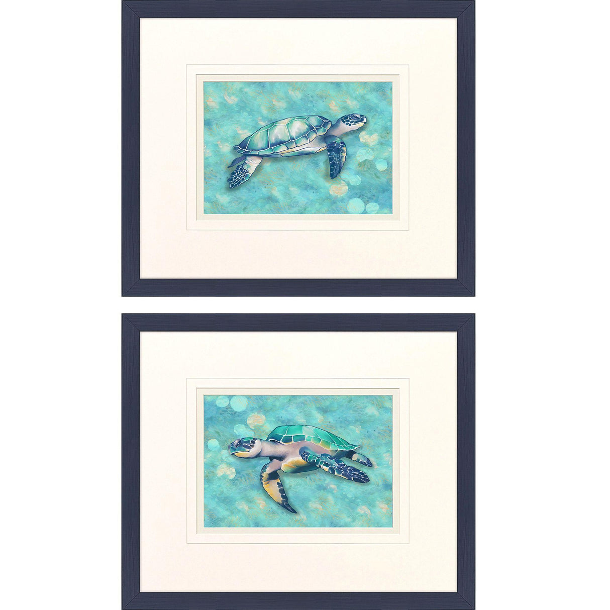 Paragon Coastal Sea Turtle S/2 Blue 22 X 26 X 1 Wall Art