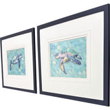 Paragon Coastal Sea Turtle S/2 Blue 22 X 26 X 1 Wall Art