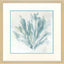Paragon Sea Coral I Blue 30 X 30 X 1 Wall Art