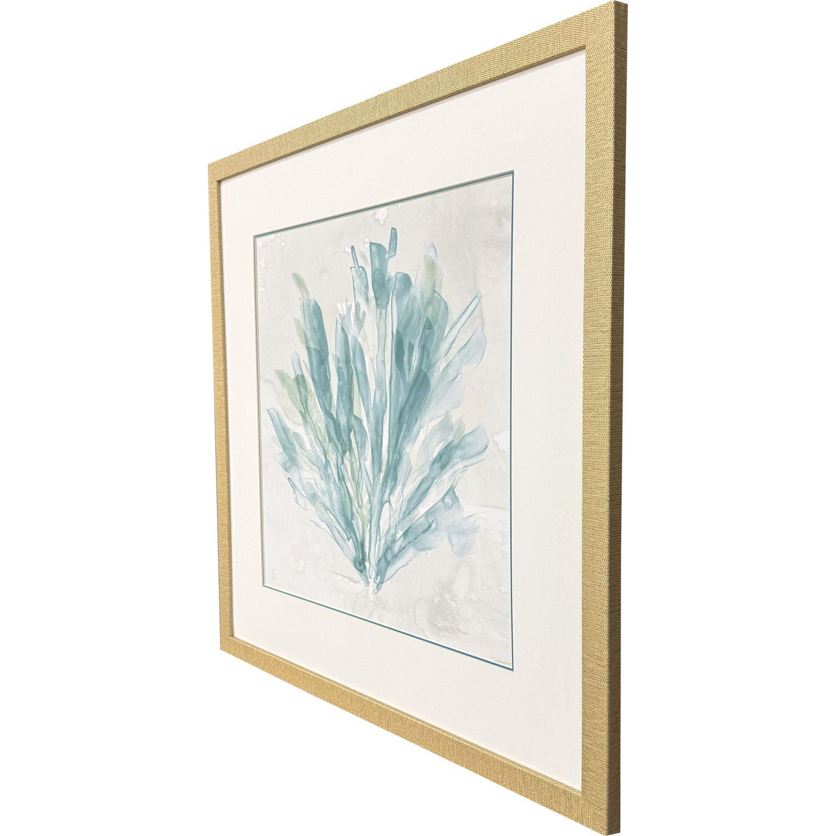 Paragon Sea Coral I Blue 30 X 30 X 1 Wall Art