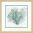 Paragon Sea Coral II Blue 30 X 30 X 1 Wall Art