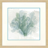 Paragon Sea Coral II Blue 30 X 30 X 1 Wall Art