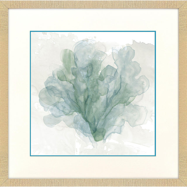 Paragon Sea Coral II Blue 30 X 30 X 1 Wall Art