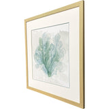 Paragon Sea Coral II Blue 30 X 30 X 1 Wall Art